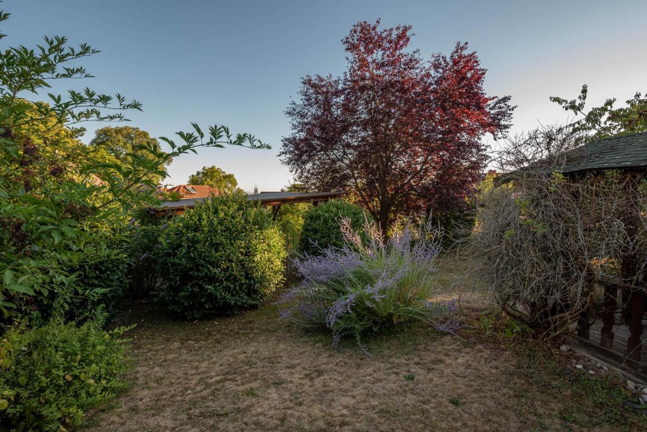Ferienhaus Bis 10 Personen Und 2,5 Schlafzimmern Geisenheim Zewnętrze zdjęcie